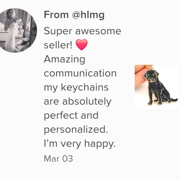 NEW! Cubic Zirconia Rottweiler Keychain/Bag 🎒👜 Charm & Pendant ~ 🎁 🐾 🐕 - Picture 15 of 16